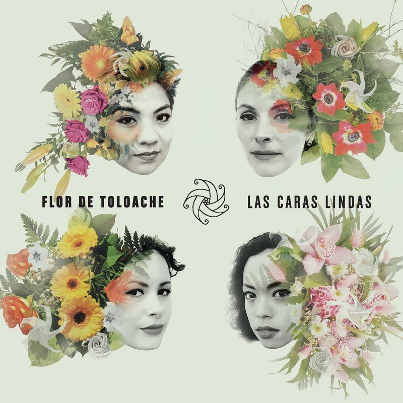 Flor de Toloache